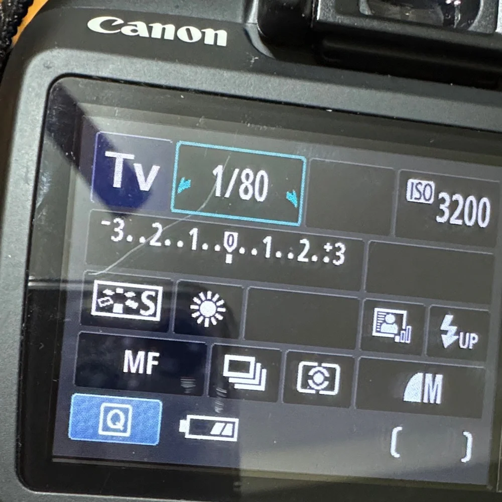 Canon EOS Rebel T3 Black Digital Camera